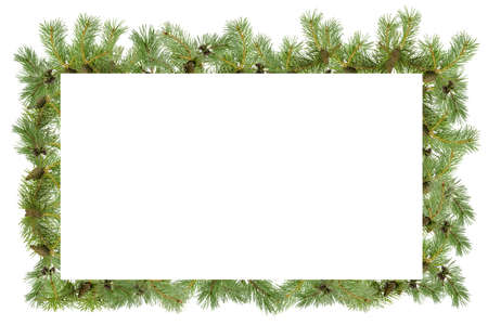 A frame of pine branches with small cones on a white background.の写真素材