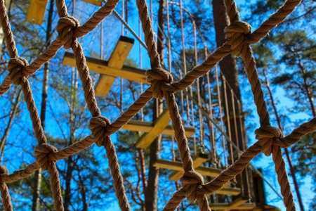 Elements of a rope park, stairs, platforms on trees, Outdoor activities.の写真素材