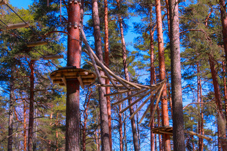 Elements of a rope park, stairs, platforms on trees, Outdoor activities.の写真素材