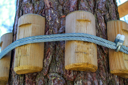 Fastening elements of the cable made of galvanized steel, couches, clamps. Fastening system for the rope park.の写真素材