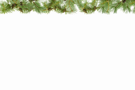 A frame of pine branches with small cones on a white background.の写真素材