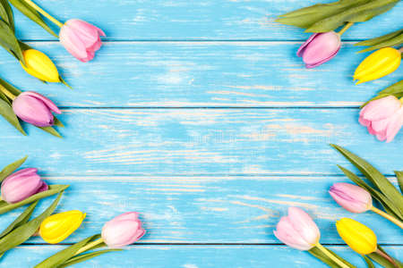 Bunch of yellow and pink tulips on a blue wooden backgroundの写真素材