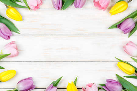 View pink and yellow tulips on a white wooden backgroundの写真素材