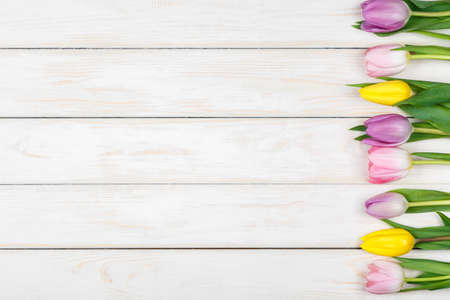 View of line of pink and yellow tulips lying on a white wooden backgroundの写真素材