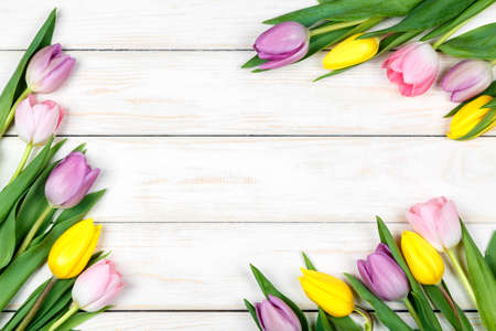 View of bunch of pink and yellow tulips lying on a white wooden backgroundの写真素材