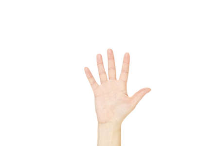 Isolated hand of women on a white background.の写真素材