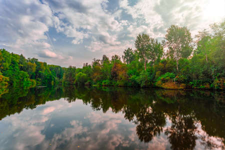 View of the river in the forest under blue cloudy sky