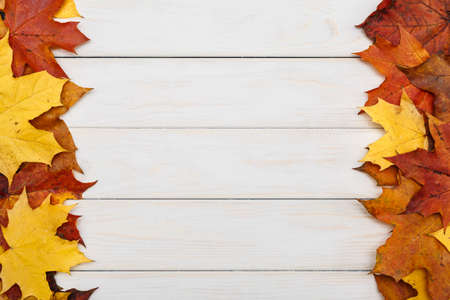 View of fallen maple leaves on white wooden background. Autumn concept.