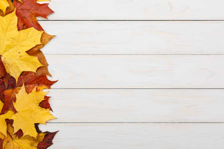 View of fallen autumn maple leaves on white wooden background