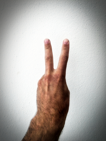 white man's palm, outstretched palm, hand on a white background, part of the body, part of the hand, white skin, two fingers, show the number, in the amount of two, hand gesture, back side, hair on the handの写真素材
