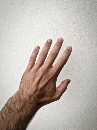 white man's palm, outstretched palm, hand on a white background, part of the body, part of the hand, white skin, five fingers, show the number, in the amount of five, hand gesture, hair on the handの写真素材