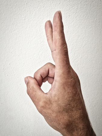white man's palm, outstretched palm, hand on a white background, back of the hand, part of the body, part of the hand, hair on the hand, white skin, outstretched palm, hand on a white background, part of the body, part of the hand, white skin, two fingers, show the amount, in the amount of two, hand gestureの写真素材