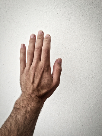 white man's palm, outstretched palm, hand on a white background, part of the body, part of the hand, white skin, five fingers, show the number, in the amount of five, hand gesture, hair on the handの写真素材