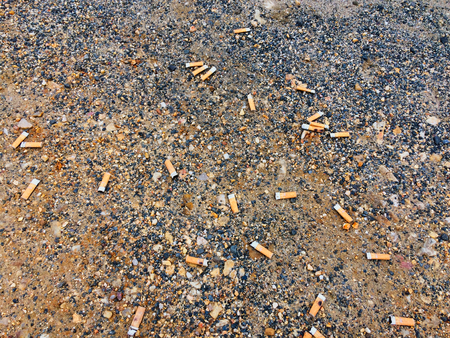 cigarette butts scattered on the ground, harm of smoking, lot of garbageの写真素材