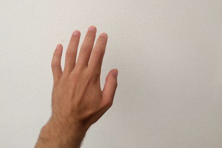 hand on a white background, back of the handの写真素材