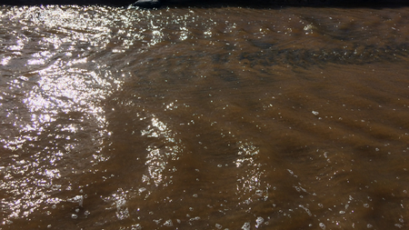 stream with muddy waters, fast flow, sandy shoreの写真素材