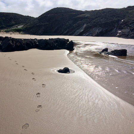 traces of shoes on the sandy shore near the river, wet sand, sandy riverの写真素材