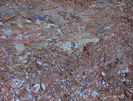 a lot of small multi-colored stones as a background, variegated stonesの写真素材