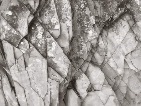stone texture, stone background, black and whiteの写真素材