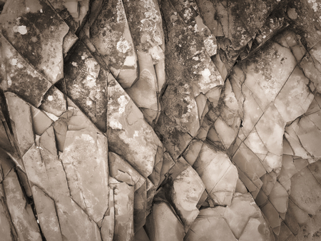 stone texture, stone background, black and whiteの写真素材