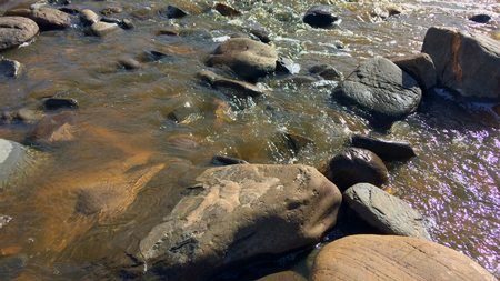 mountain stream, rapid flow of water, stones in the water, small mountain riverの写真素材