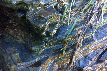weed growing near stones, wet stones and field grassの写真素材