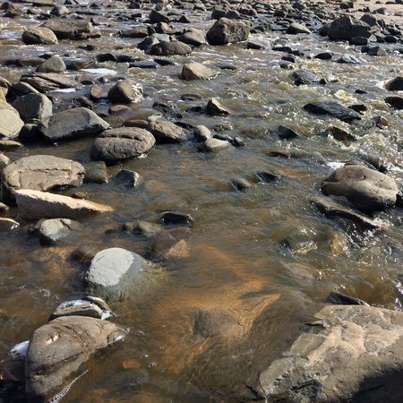 mountain stream, rapid flow of water, stones in the water, small mountain riverの写真素材