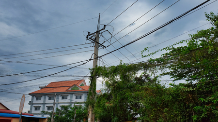 a pole of power lines, green vegetation hanging from wiresの写真素材