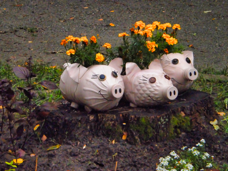 flowerpots made from plastic bottles, marigolds, flowerpots in the shape of a pig, recycling garbageの写真素材