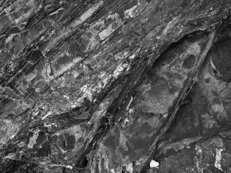 stone texture, stone background, black and whiteの写真素材