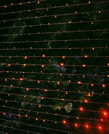 garland with colored lights, decorative lighting, backgroundの写真素材
