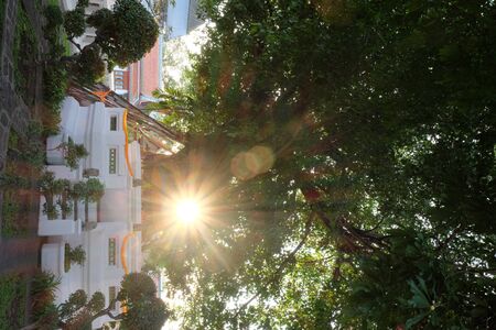 A small Buddhist altar by a tree. The rays of the sun shine through the branches of a tree.の写真素材