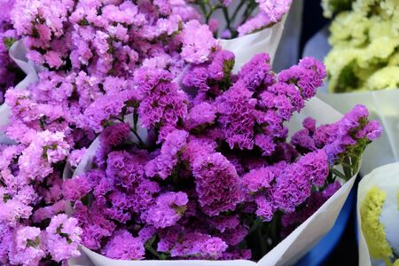 A bouquet of small purple flowers. Ornamental plants.の写真素材