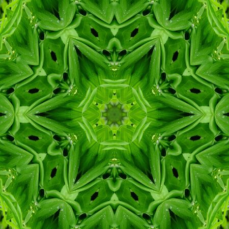 Abstract kaleidoscope background. Beautiful multicolor kaleidoscope texture. Unique kaleidoscope design.の写真素材