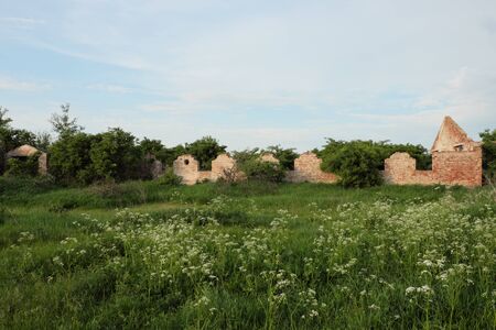 Shed on an abandoned livestock farm. Overgrown ruined building.の写真素材