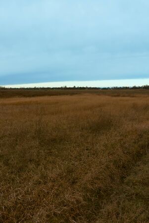 Wilted steppe grasses. Cloudy steppe landscape in the evening.