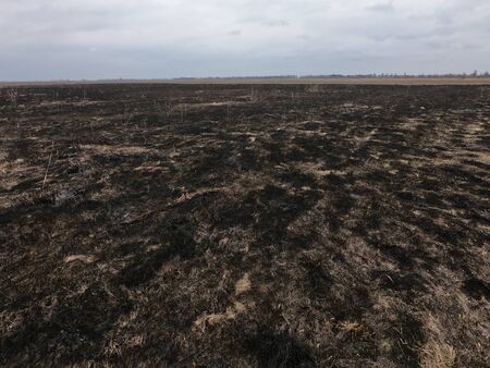 Burnt field. Place of environmental disaster. Moody landscape.の写真素材