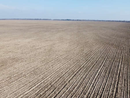 Agricultural fields on a sunny spring day, aerial view. Landscape. Blue sky over the fields.