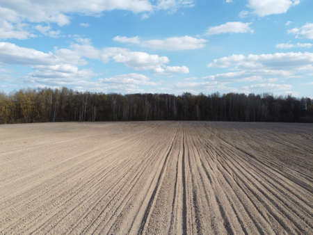 Arable field near the forest on a sunny day, aerial view. Agricultural field.の写真素材