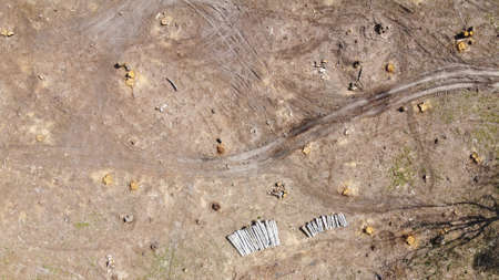 Logging place, aerial view. Devastated land. Felled forest.