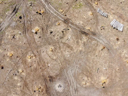 Logging place, aerial view. Devastated land. Felled forest.