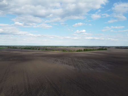 Trees along an irrigation canal on a plowed field top view. Farmland.