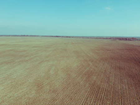Agricultural fields on a sunny spring day, aerial view. Landscape. Blue sky over the fields.