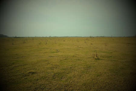 Steppe plain on a cold evening. Beautiful sky over the field. Landscape. Vignette.
