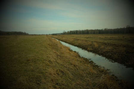 Small swampy river in the field. Wilted grasses on the banks of the river. Evening landscape. Vignette.の写真素材