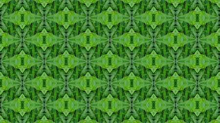 Unique background for wrappings paper, wallpaper, textile and surface design. Creative seamless pattern. Collage.の写真素材