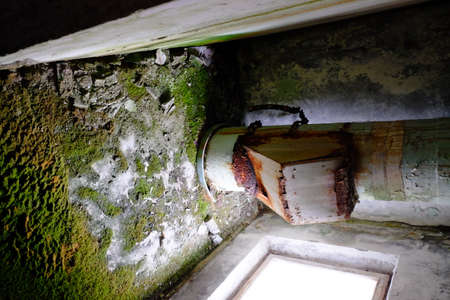 Moss on the concrete floor near the garbage chute in an old abandoned house.の写真素材