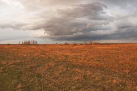Cloudy dramatic sky over the autumn steppe. Bright dry field herbs.の写真素材