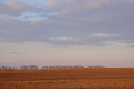 Cloudy evening sky over an empty agricultural field. Bright sunset landscape.