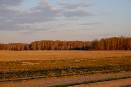 Cloudy evening sky over the forest. Field.